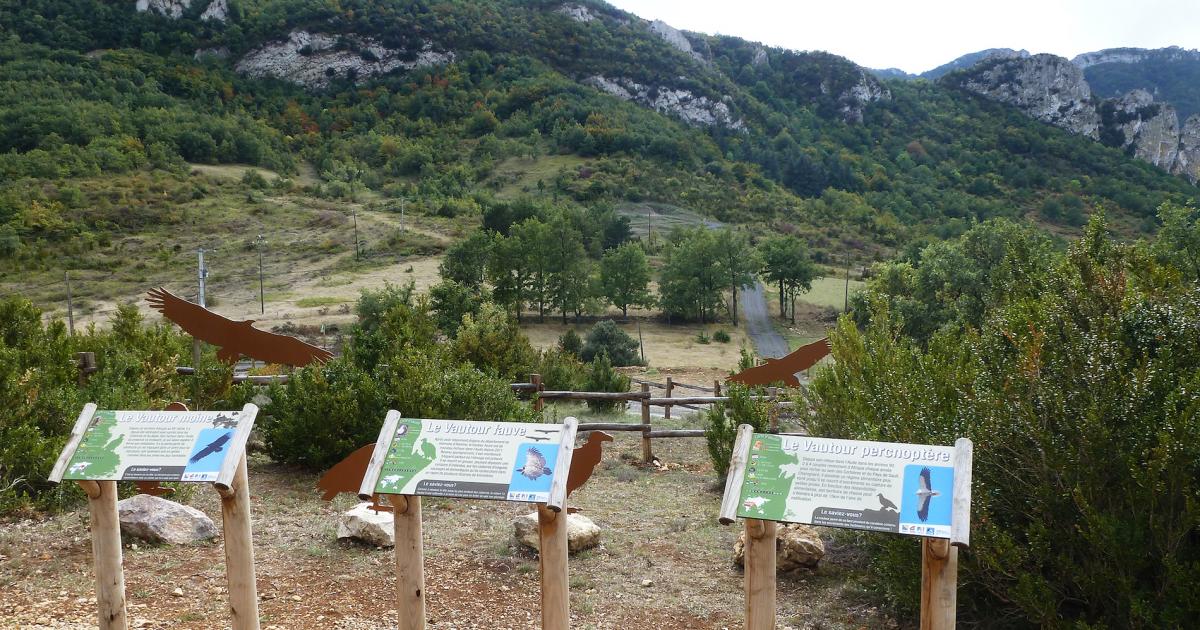 L’ Observatoire des vautours